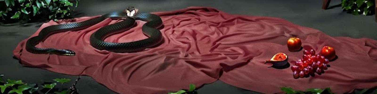 User Cover
